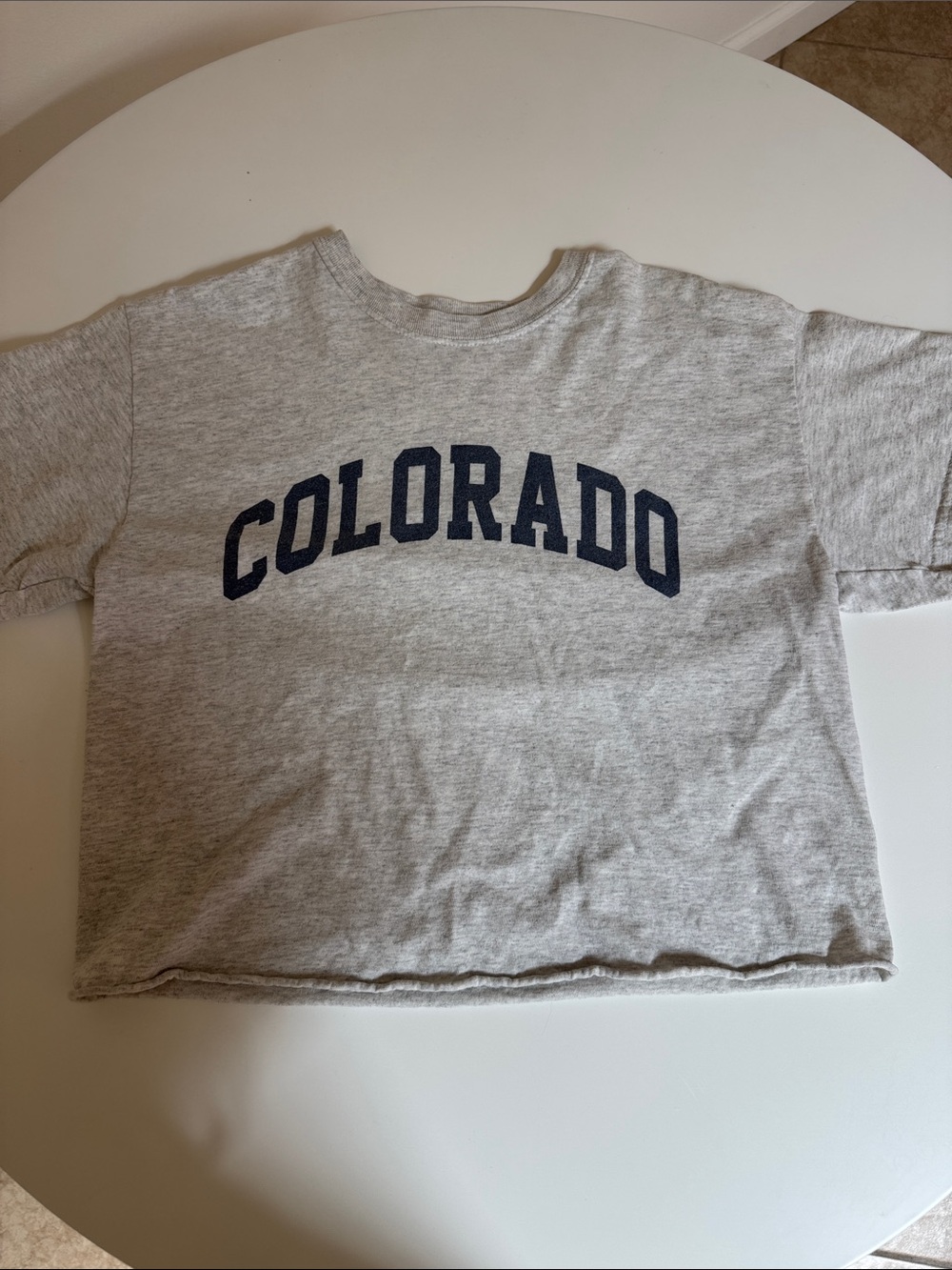 Brandy Melville Colorado grey tee